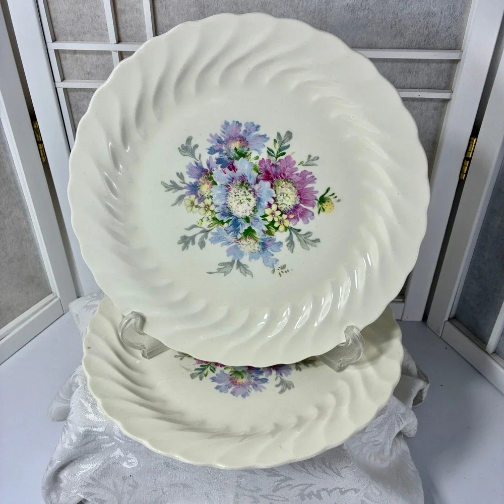 VTG Royal China Sebring Union Ware Honey Lee Floral Swirl Dinner Plates Set 2